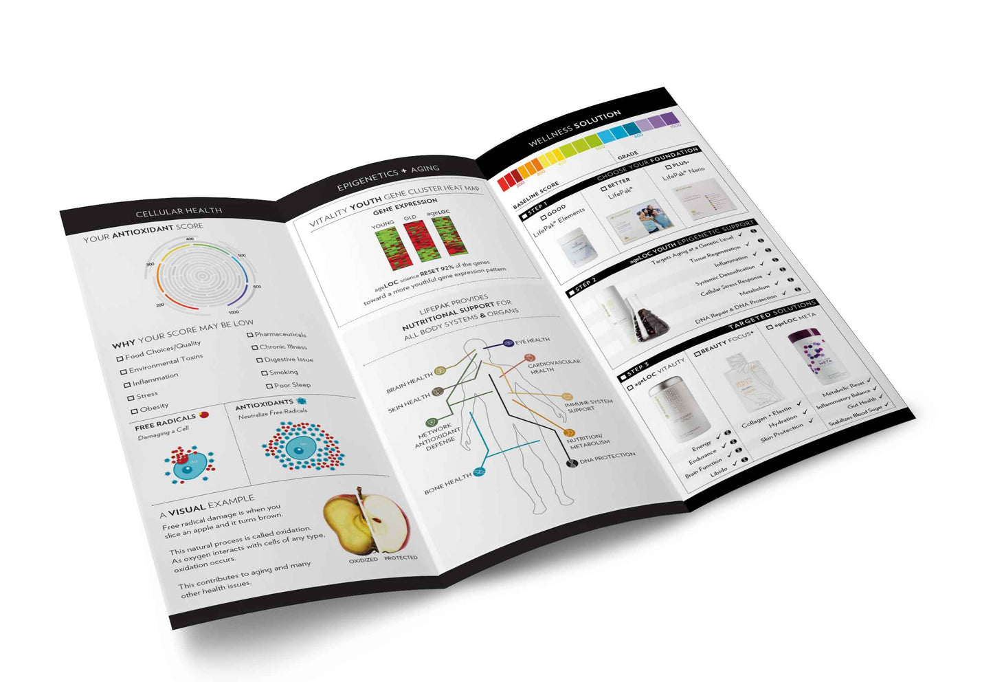 Scan to Close Brochure