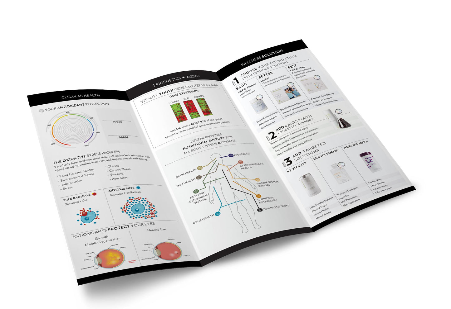 Eye Brochures